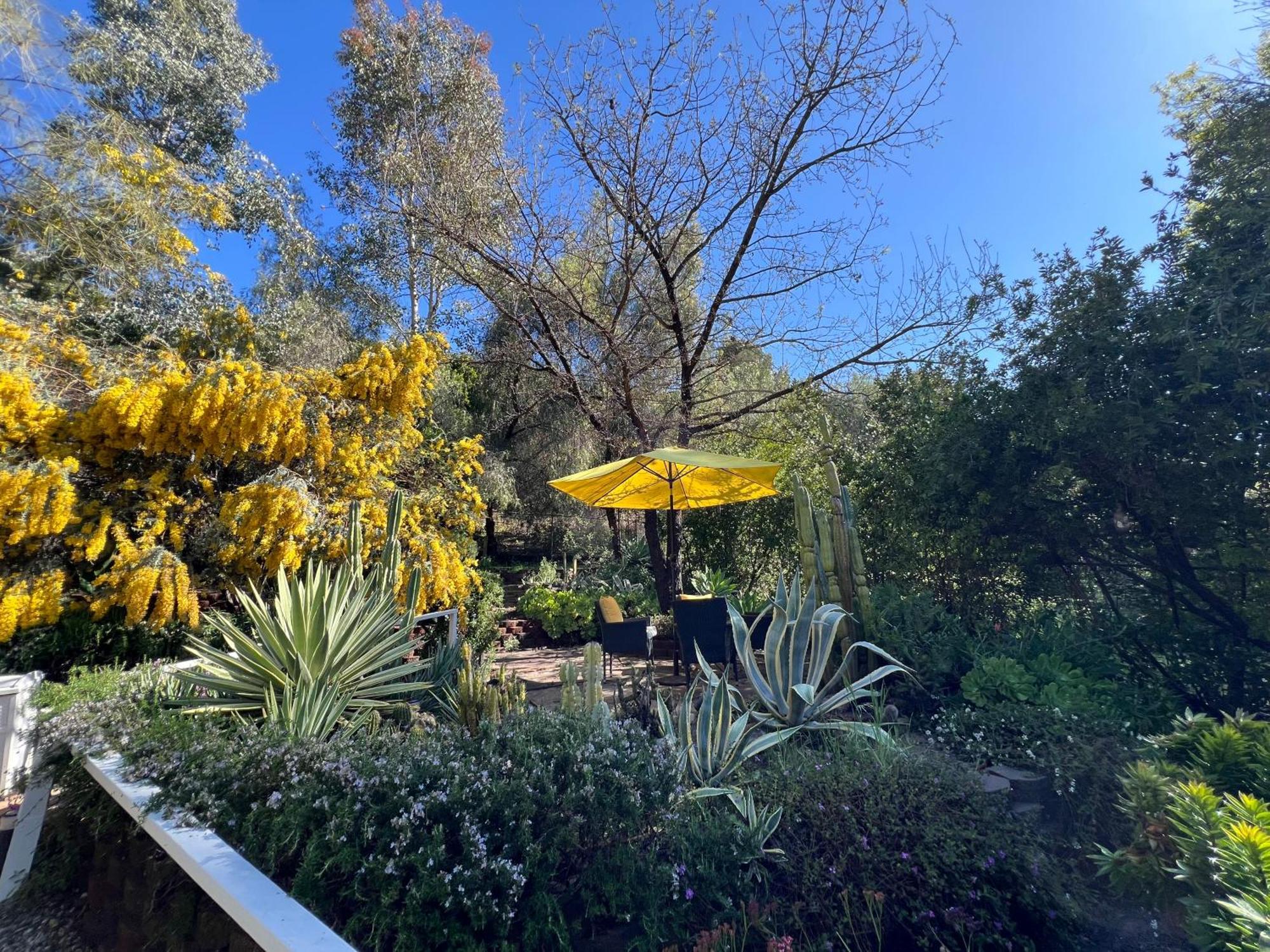 La Reforma - Newly Designed 4br House & Pool In Angeles By Topanga Villa Los Ángeles